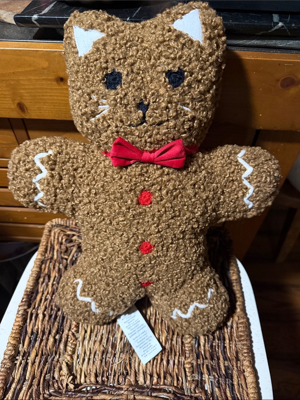 Pottery Barn Cozy Teddy Kitty 🐈‍⬛ Spice Shaped Pillow